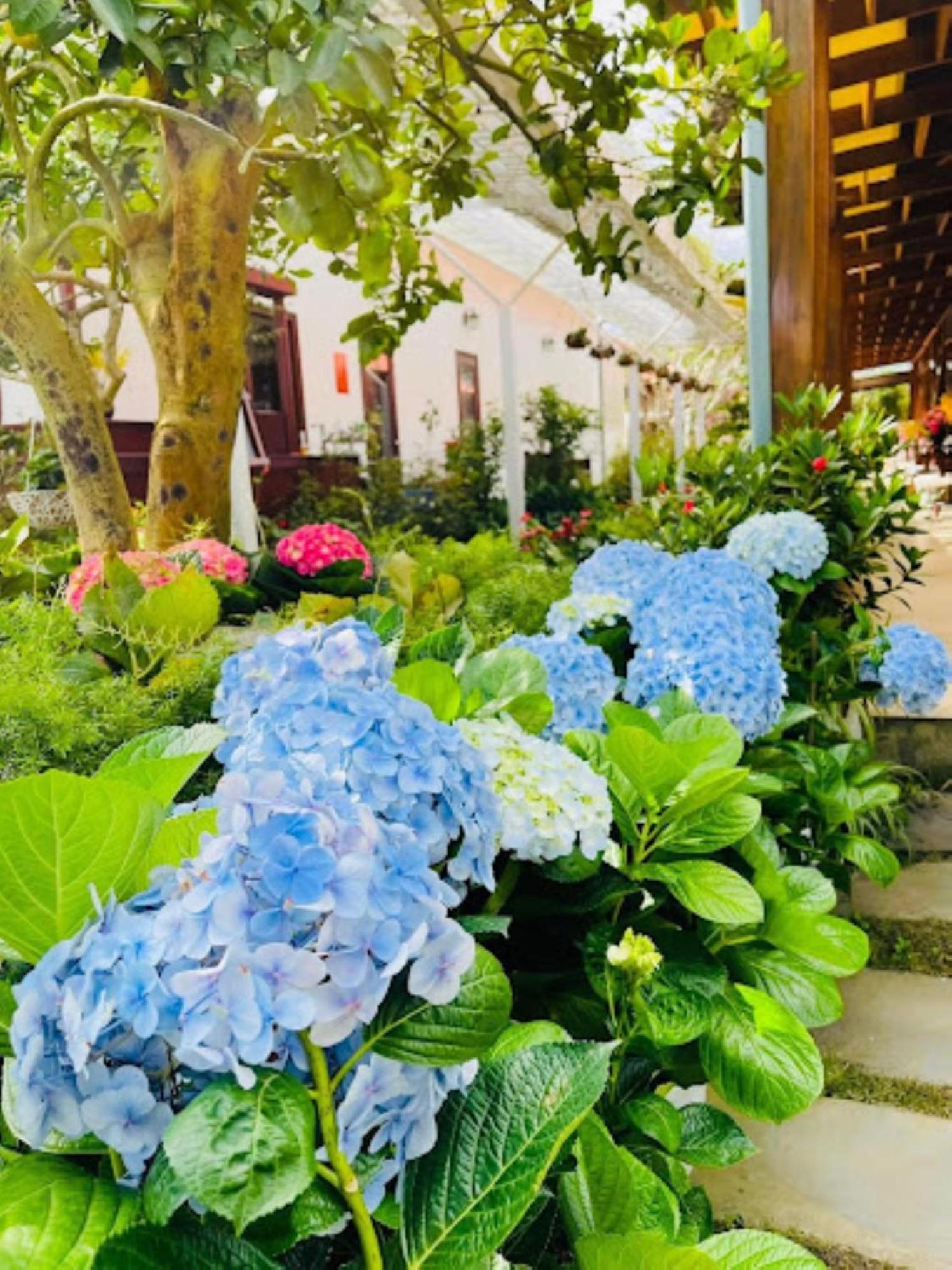 Vuon Tra Homestay Mang Den Kon Von Kla Экстерьер фото