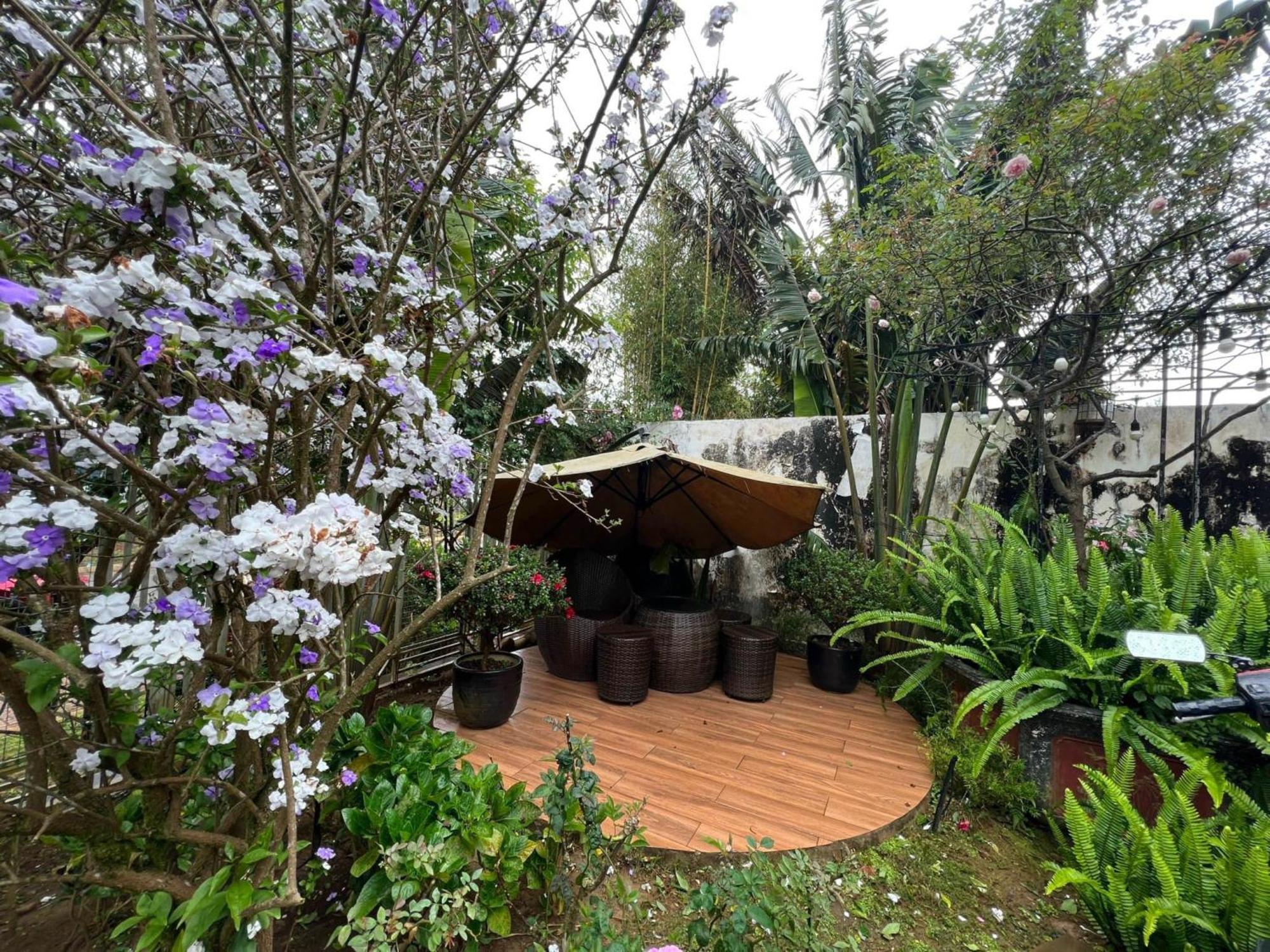 Vuon Tra Homestay Mang Den Kon Von Kla Экстерьер фото