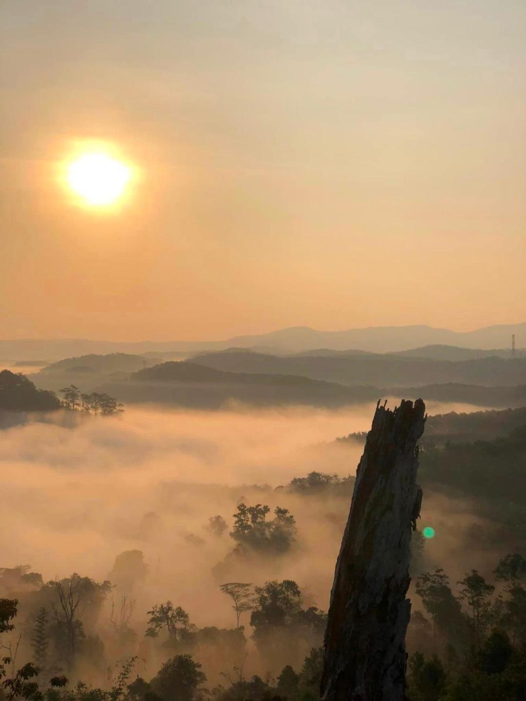 Vuon Tra Homestay Mang Den Kon Von Kla Экстерьер фото